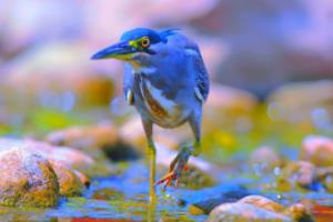 法甲联赛全面开战，重塑足坛格局的年度盛事法甲联赛全面开战